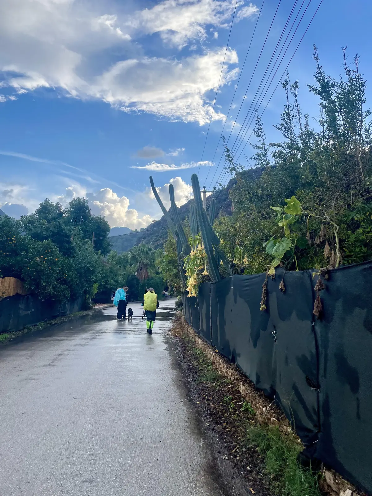 Горные тропы