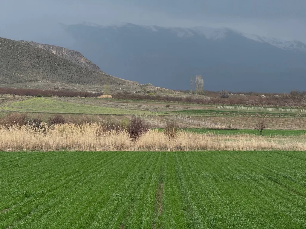 Вид с горы Ерах